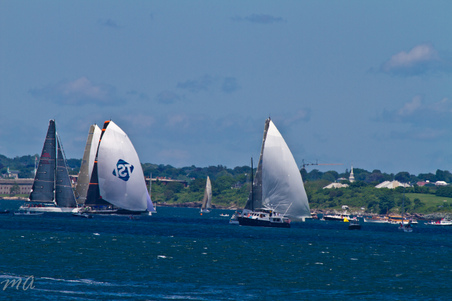 Enlarge photo 341