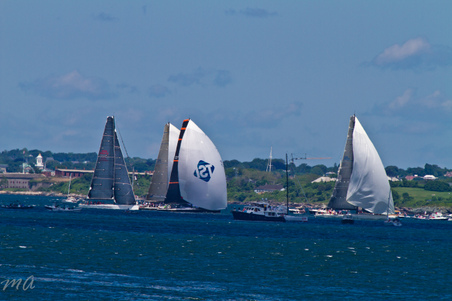 Enlarge photo 342