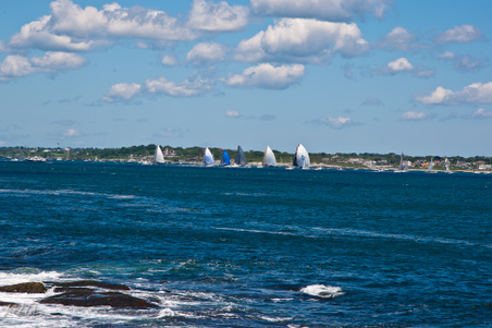 Enlarge photo 343