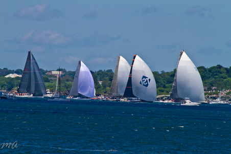 Enlarge photo 344
