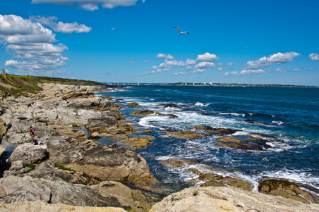 Enlarge photo 347