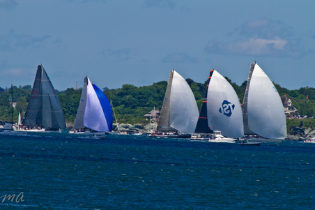 Enlarge photo 349
