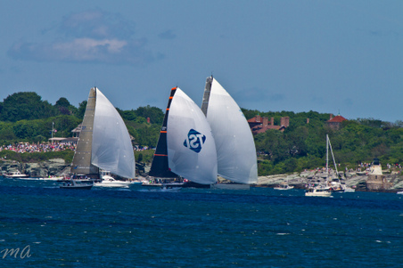 Enlarge photo 351