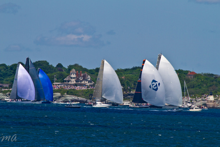 Enlarge photo 352