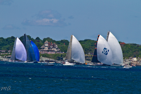 Enlarge photo 353