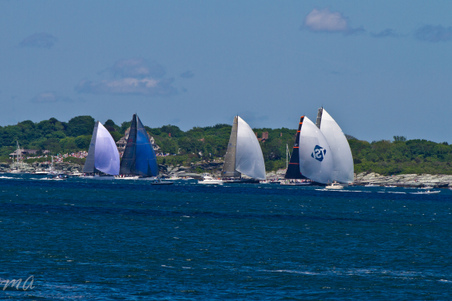 Enlarge photo 354
