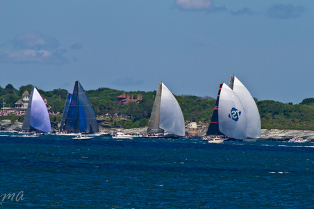 Enlarge photo 356
