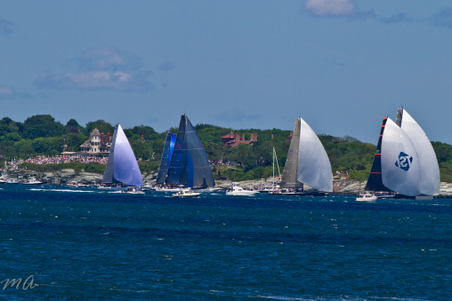 Enlarge photo 357