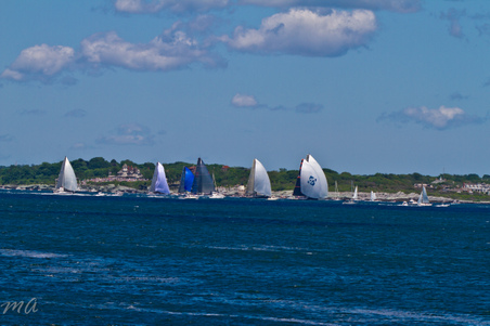Enlarge photo 358