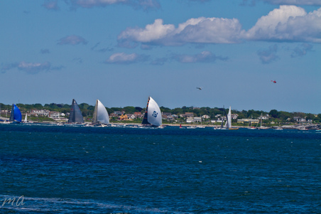 Enlarge photo 359