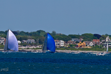 Enlarge photo 362