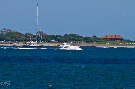 Enlarge photo 363