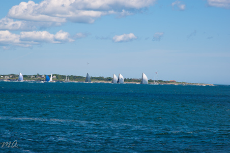 Enlarge photo 367