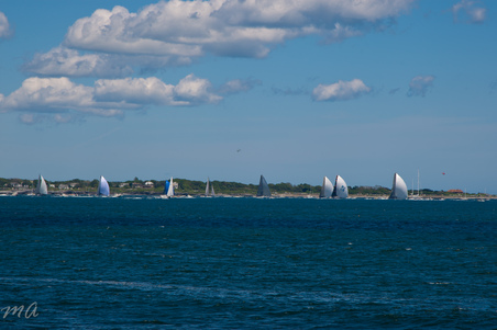 Enlarge photo 368