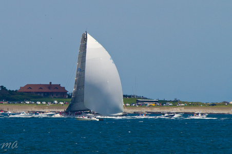 Enlarge photo 373