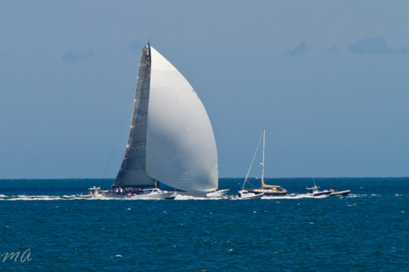 Enlarge photo 374
