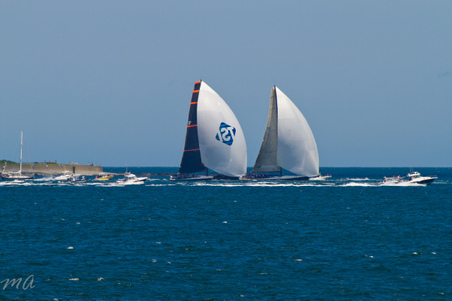 Enlarge photo 375