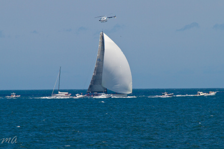 Enlarge photo 376