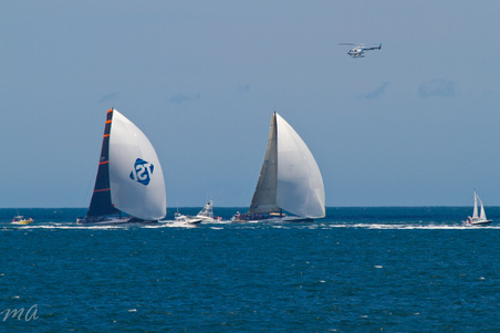 Enlarge photo 377