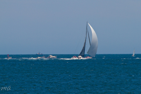 Enlarge photo 378