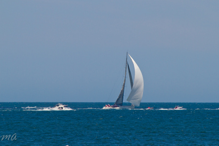 Enlarge photo 379