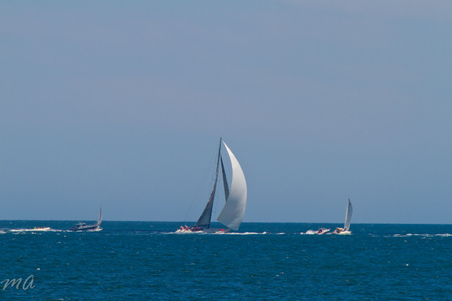 Enlarge photo 380