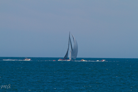 Enlarge photo 383