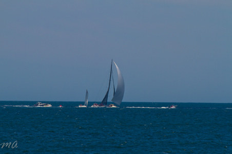 Enlarge photo 384