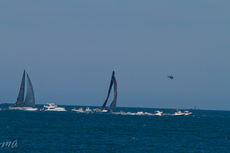Enlarge photo 385