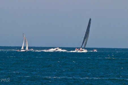 Enlarge photo 390