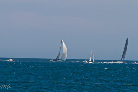 Enlarge photo 391