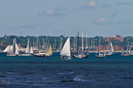 Enlarge photo 392