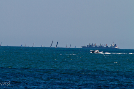 Enlarge photo 393