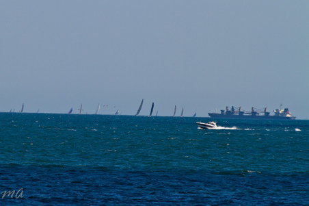 Enlarge photo 394