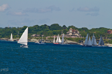 Enlarge photo 396