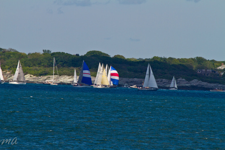 Enlarge photo 398