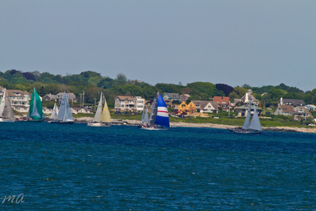 Enlarge photo 399