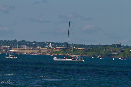 Enlarge photo 402