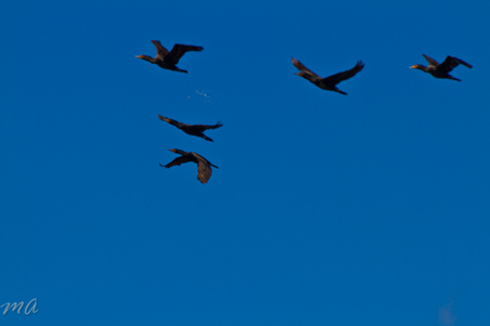 Enlarge photo 405