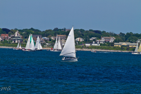 Enlarge photo 406