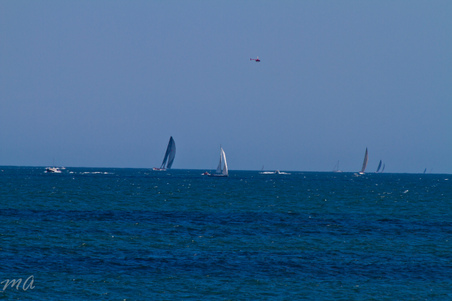 Enlarge photo 407