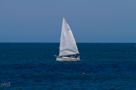 Enlarge photo 421