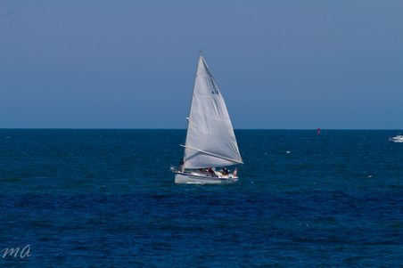 Enlarge photo 422