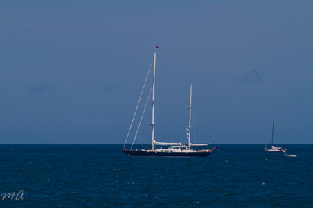 Enlarge photo 423