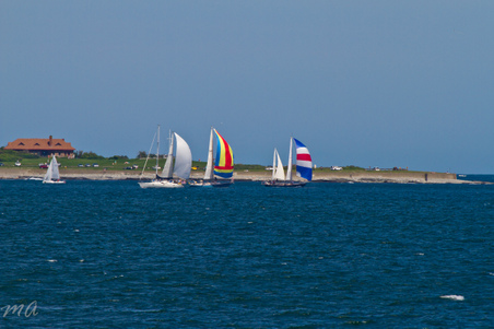 Enlarge photo 424