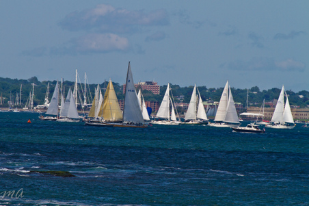 Enlarge photo 425