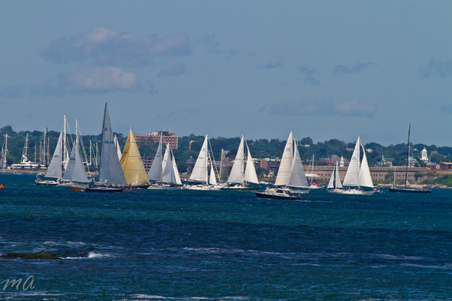 Enlarge photo 426