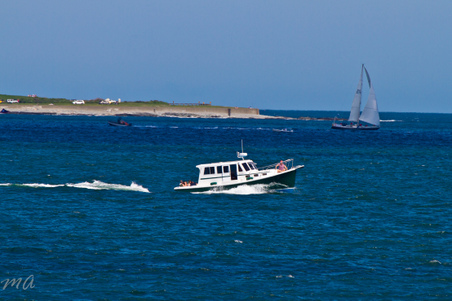 Enlarge photo 428