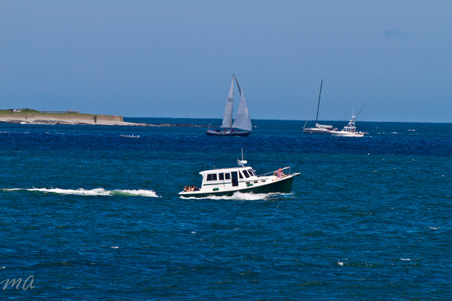 Enlarge photo 429