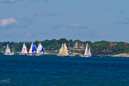 Enlarge photo 430